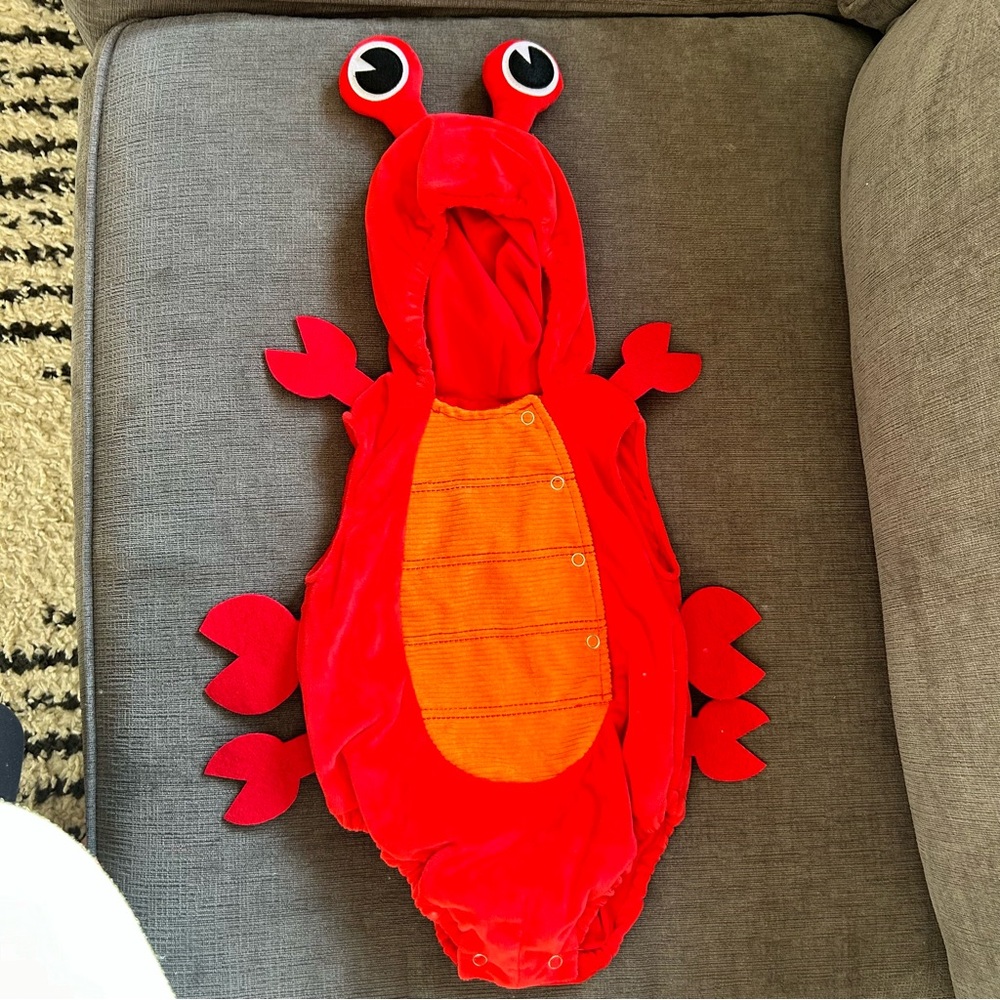 Pottery Barn Lobster Costume